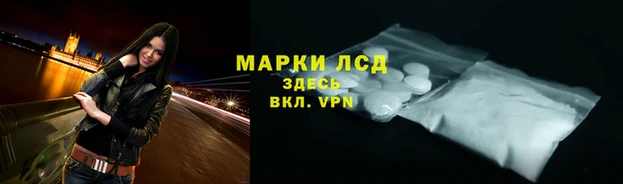СК Балахна